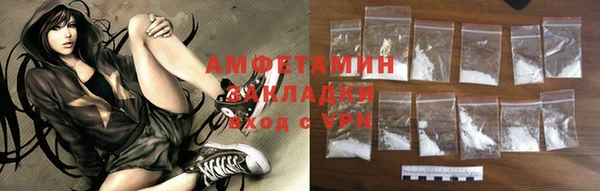 индика Богородицк