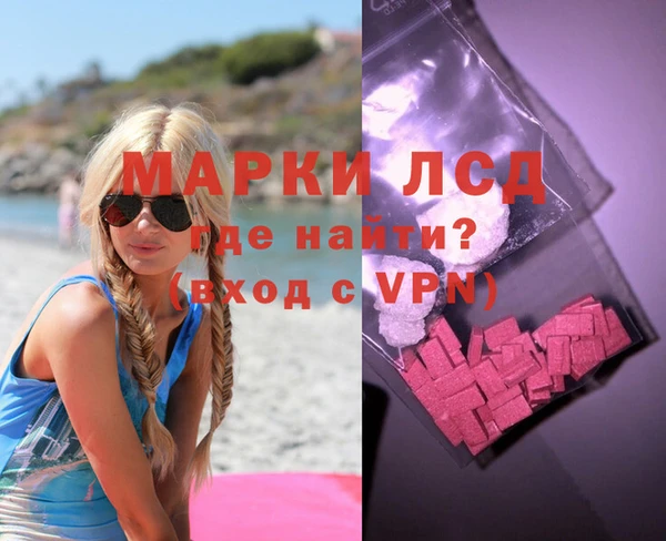 индика Богородицк