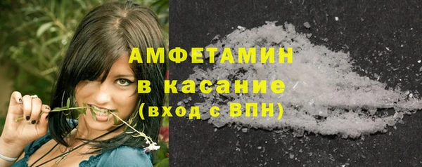 индика Богородицк