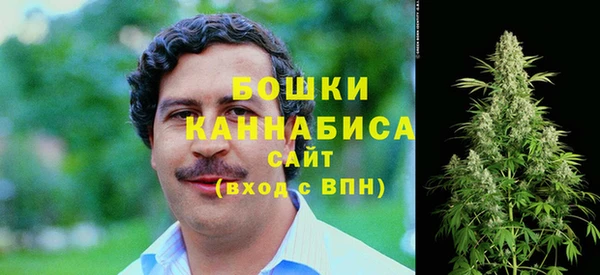 Альфа ПВП Богородск