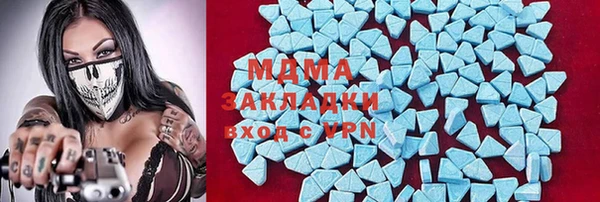индика Богородицк
