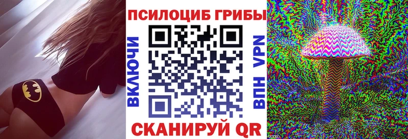 Галлюциногенные грибы Psilocybe Севск